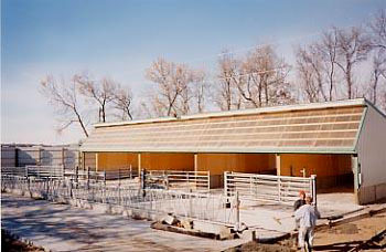 Figure 5. Open sided, single slope roof shed is one of the most common housing structures.
