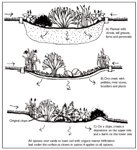 Diagram of steps for planting a rain garden