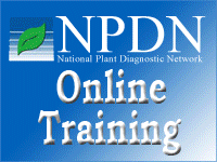 NPDN Online Training