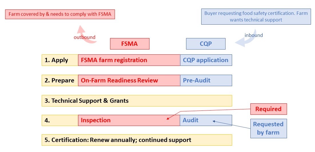 Relationship between CQP and FSMA