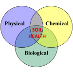 Figure 2: Soil Health Processes Diagram