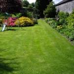 Soil compaction can be a problem in lawns and landscapes.