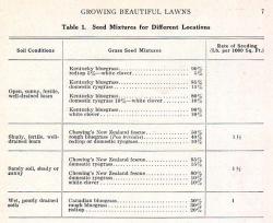 Table of recommended seed mixtures for lawns, some of which contain clover.  From Growing Beautiful Lawns Extension Bulletin #224 from (then) Michigan State College Extension, written by James Tyson and published April 1941