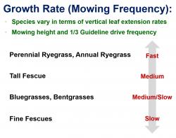 Growth rates (and expected mowing frequency) of key cool-season turfgrass species.