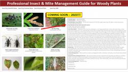 This is an example of what you can expect from the Professional Insect & Mite Management Guide for Woody Plants that is coming soon!