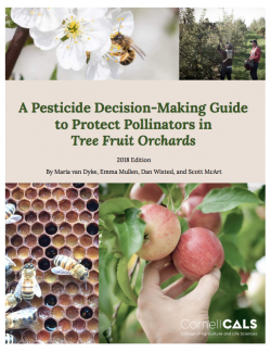 Cornell Guide to Protecting Pollinators Screenshot