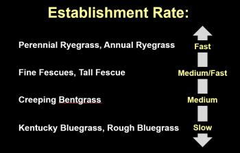 Establishment rates of key cool season grasses