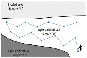 Best method to collect soil samples
