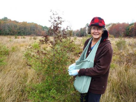 Glorianna Davenport collects white cedar seeds