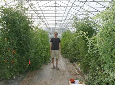 Jacob Barnett in greenhouse with tall tomato plants