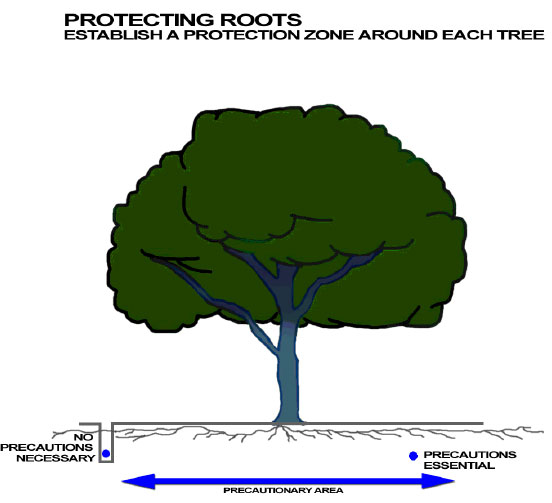 Root zone protection diagram, side view