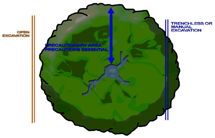 Root zone protection diagram, top view