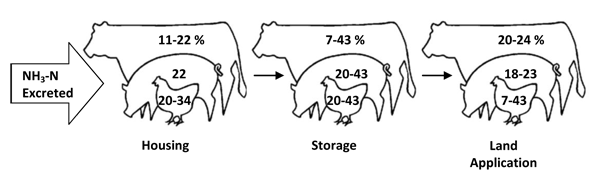 Figure 1. Percent NH3 emissions from total manure-NH3 in each component of livestock operation (EPA National Emissions Estimates, 2005)