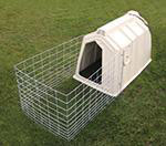 Figure1. A calf hutch with wire fencing placed around for more available room.