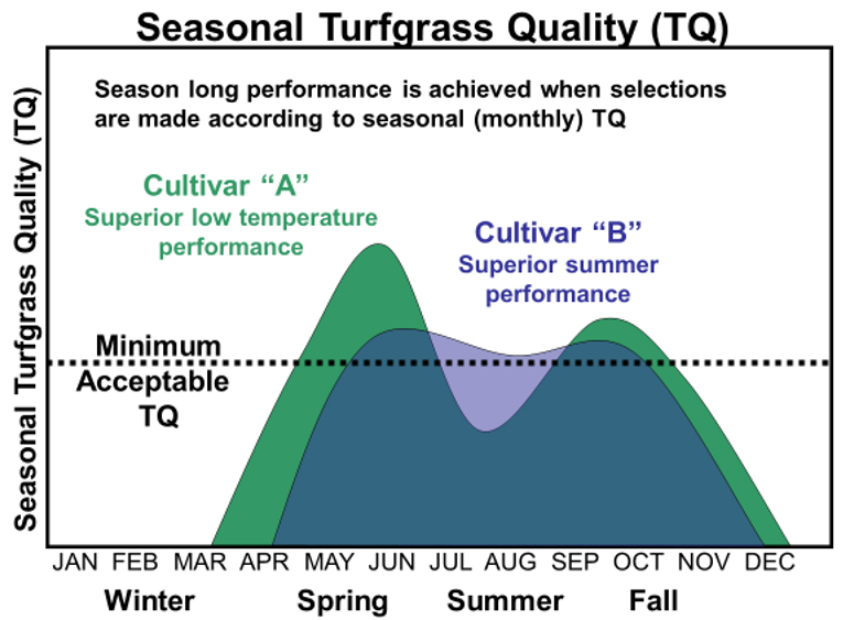 Figure 2. Seasonal turf quality comparing two cultivars (A and B) with distinctly different seasonal turf quality. 