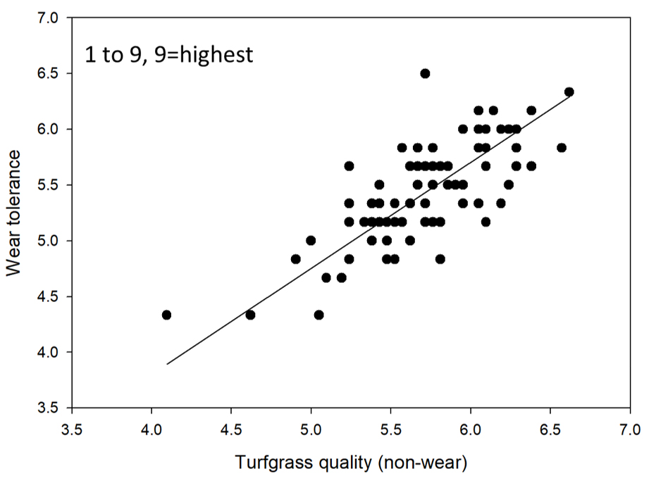 Figure 4. Generally, as TQ increases other desirable traits that relate directly to the cultivars’ turf forming properties will also increase (i.e., higher density and wear tolerance). 