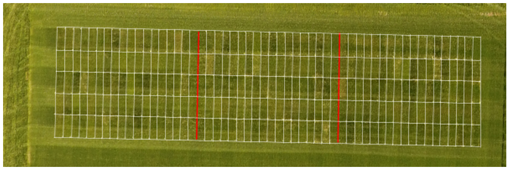Photo 1. Aerial view of the 2017 NTEP Kentucky bluegrass test showing 89 entries and three replicates for a total of 267 plots at UMass Amherst (South Deerfield MA) Troll Turf Research & Education Center. 