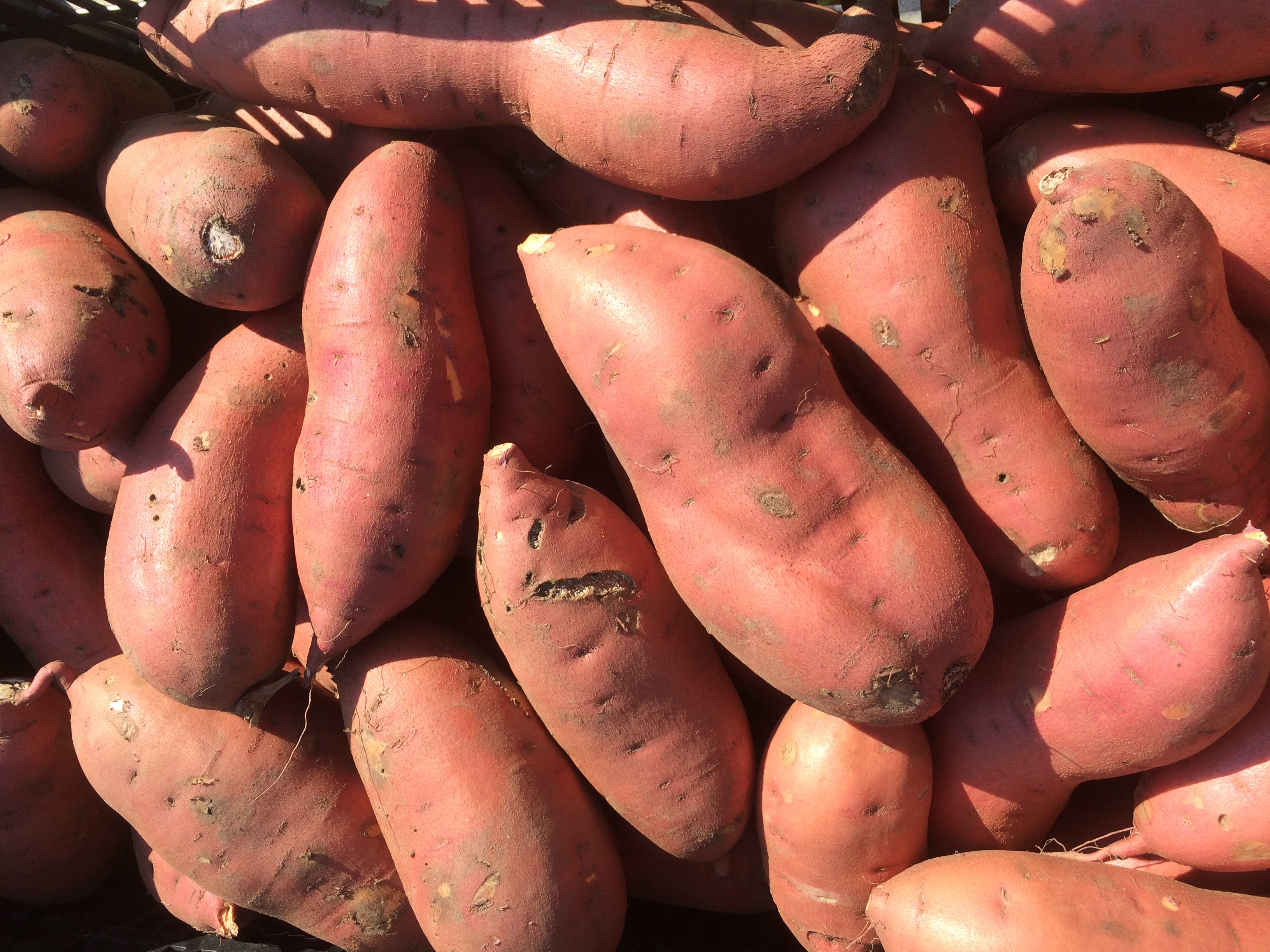 sweet-potato-baked-directions-calories-nutrition-more-fooducate