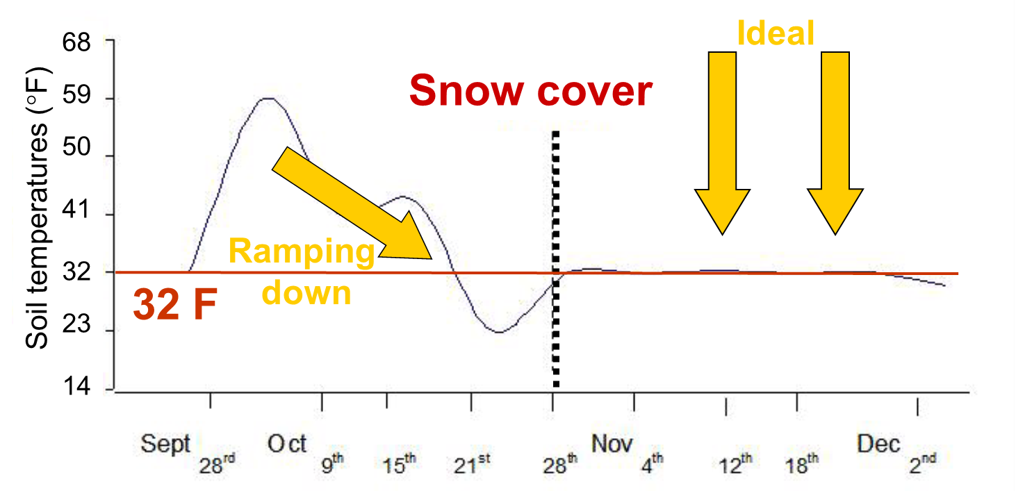 Figure 5. Slow ramping down of soil temperatures allow turfgrass to establish maximum acclimation (hardening) especially when followed by snow cover on frozen soils to prevent premature deacclimation (from Ross and Tompkins, Prairie Turfgrass Research Center, Canada). Mechanically removing snow or early snow melt can cause early and rapid deacclimation.