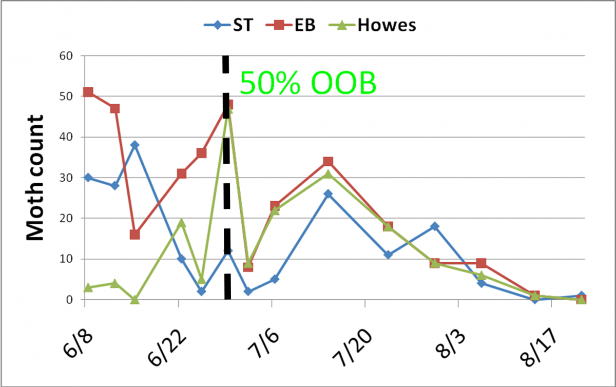 A graph that shows 2009 pheromone trap captures of male moths for Stevens (ST), Early Blacks (EB) and Howes at a site where all three cultivars were planted.