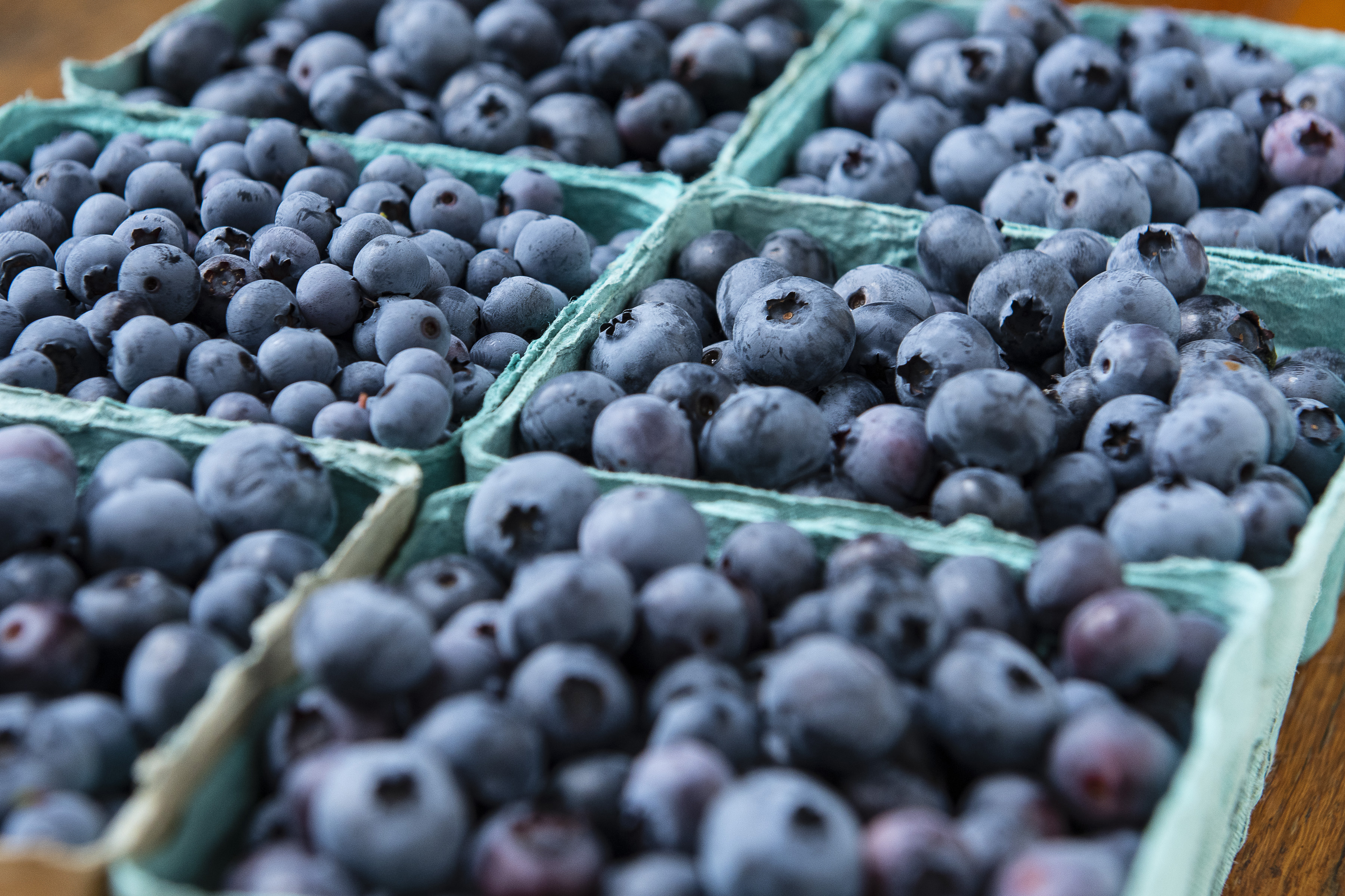 Massachusetts blueberries