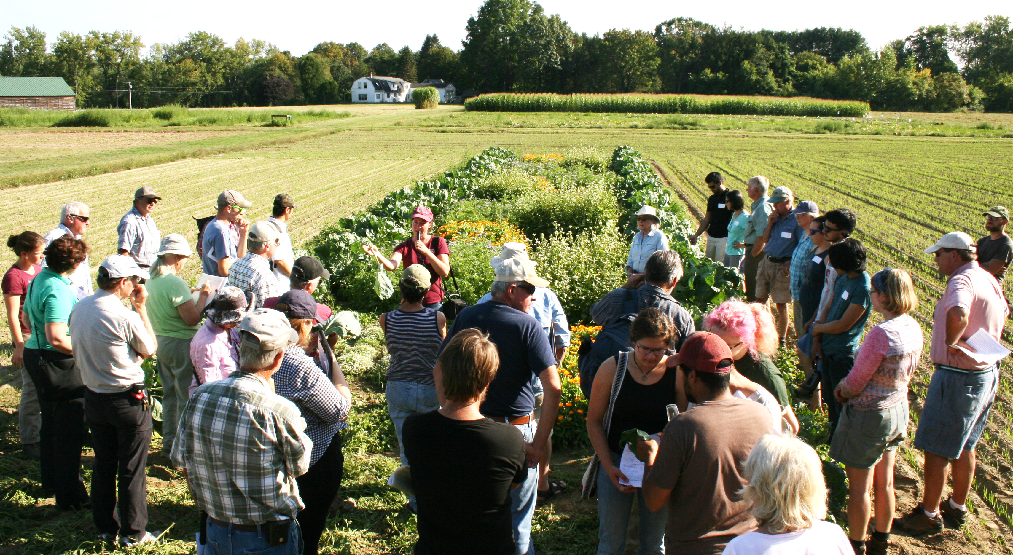 Sue Scheufele, leader of the production agriculture areas in the Extension Agriculture Program, presents to growers at the UMass Crop and Animal Research and Education Farm in South Deerfield.
