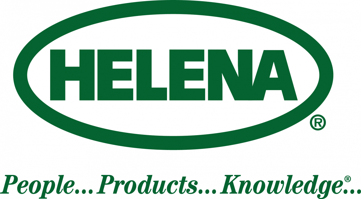 Helena: People, Products, Knowledge