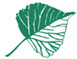Green School poplar logo