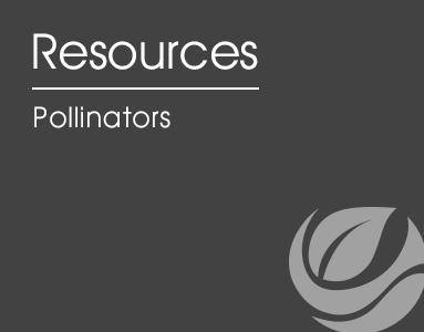 Pollinators desktop logo
