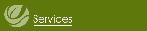 Services mobile logo