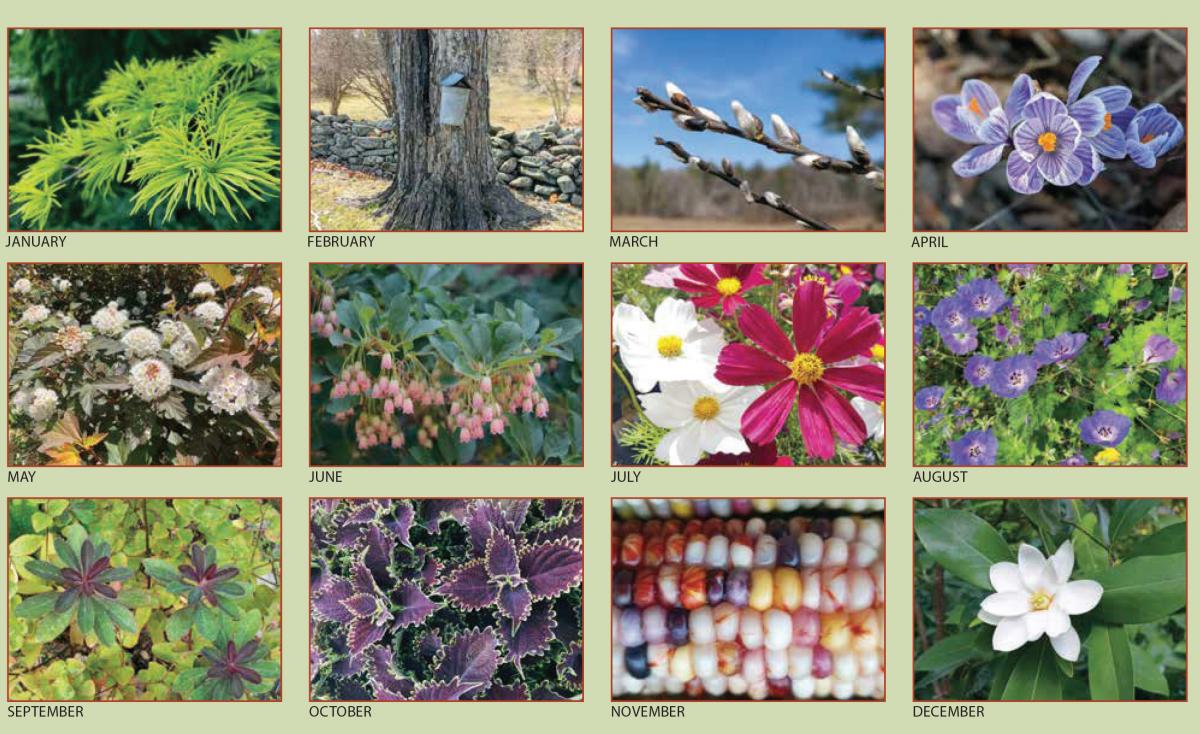 Landscape UMass Extension's Garden Calendar Center for Agriculture