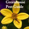 Greenhouse Pest Guide Website app