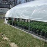 Greenhouse with roll up sides