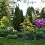 Landscaping with trees and shrubs