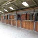 Indoor barn with individual stalls