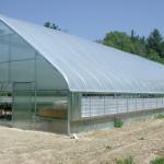 Free-standing greenhouse with roof vent