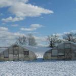 Greenhouses in winter