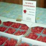 Hamilton's 'Tulameen' raspberries ready for sale in April 