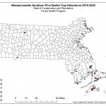 Massachusetts southern pine beetle trap detections from 2015-2022. Map courtesy of MA Department of Conservation and Recreation.