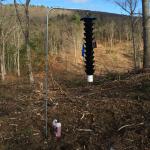 Funnel trap used to monitor for southern pine beetle in Montague, MA. Image courtesy of Marc DiGirolomo, US Forest Service.