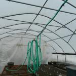 A hose connected to a line of wire in a greenhouse.