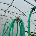 A hose connected to a line of wire in a greenhouse.