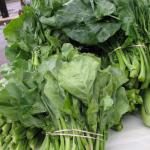 Figure 5. Chinese broccoli, called gai lan in Cantonese, grown in Massachusetts and for sale at farmers market in Boston in 2009. (Photo by Franco Mangan)