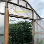 A high tunnel with insect netting on the end wall.