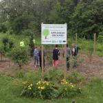 Figure 3. Stakeholders and residents visit Springfield urban orchards.
