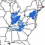 Figure 1.  Brood X (blue) expected to emerge in 15 states this spring. In MA brood XIV is expected to emerge in 2025 (red), based on the observation in 2008 emergence (Image courtesy Gene Kritsky, Mount St. Joseph University, modified by O. Kostromytska).