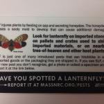 Spotted Lanaternfly ID Card