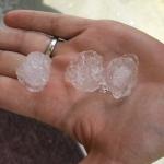 Large hail stones from the strong thunderstorms on 6/28 in Hampshire County. 