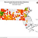 Towns with confirmed EAB detections provided by the MA Department of Conservation and Recreation as of 10/30/20.