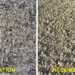Fig. 1: Renovation often involves eradication of existing turf, but the dead turf is typically left in place.  Reconstruction involves tillage and the preparation of a new seedbed.